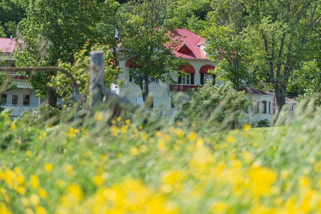 Auberge La Courtepointe Петит-Ривьер-Сен-Франсуа Экстерьер фото